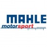 Mahle Motorsport